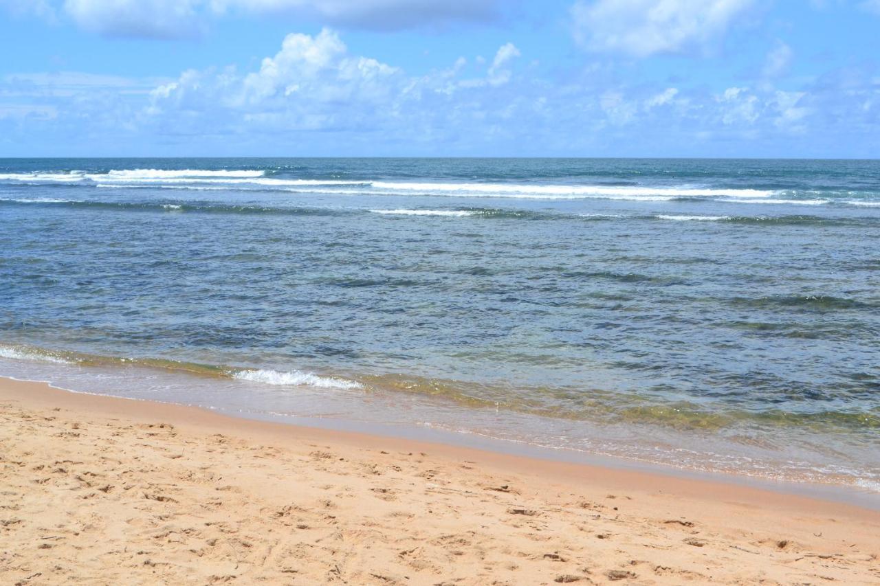 Praia Do Forte, Piscinas Naturais Eksteriør bilde